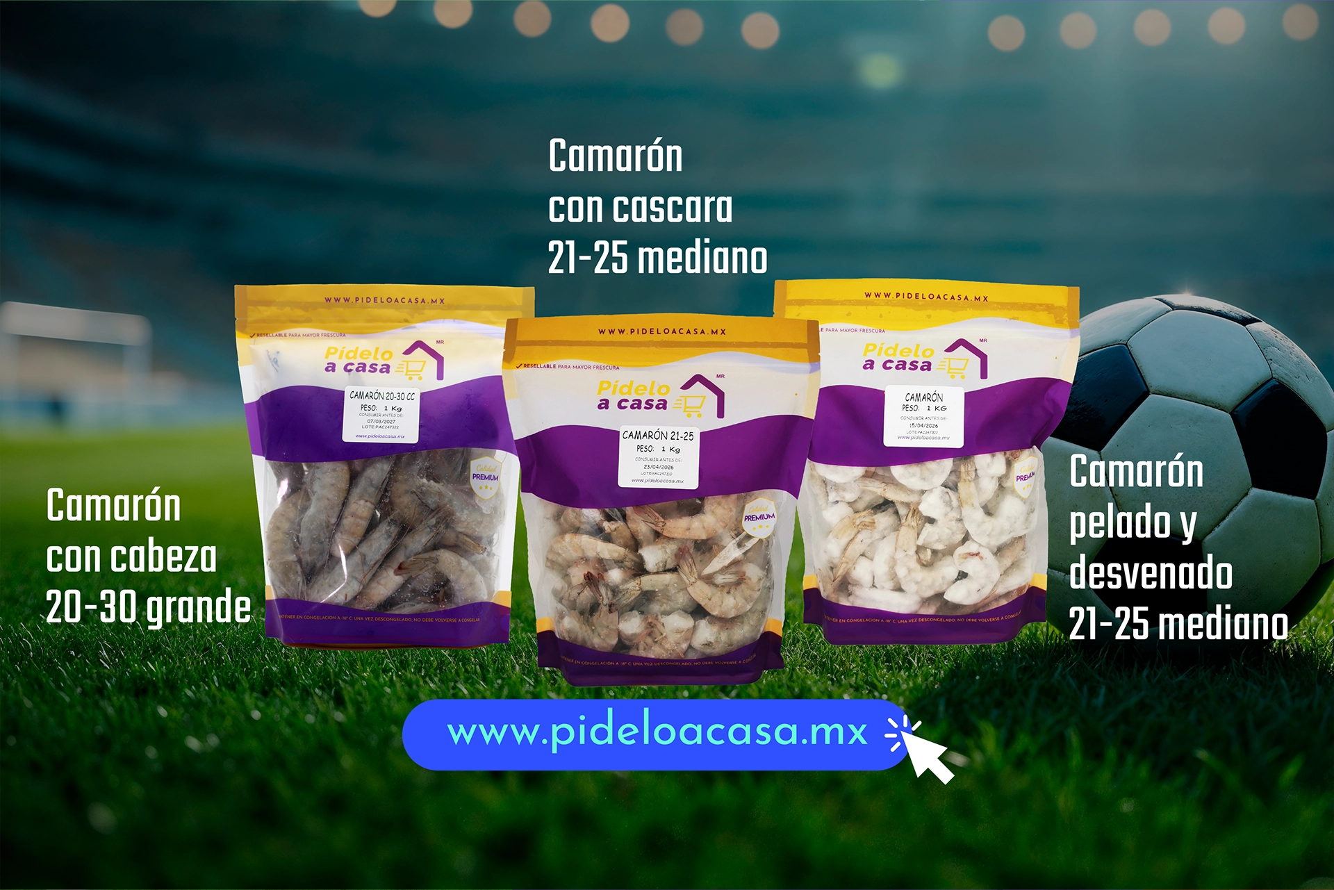 Camarones